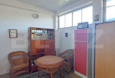 Casa renovabila, 3 camere, 1400 mp teren, in Mihai Viteazu - 9