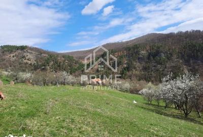 Teren de 13700 mp, în Vințu de Jos - 2
