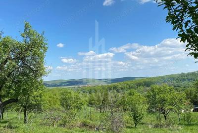 Teren de 1200 mp, în Sibiel - 2