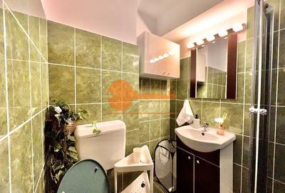 Garsonieră nedecomandată, mobilată în P-ța Victoriei - 3