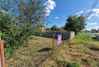 Teren intravilan 2844 mp in Sat Iasi-Gorj, Com. Dragutesti - 10