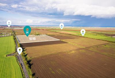 Teren agricol extravilan de 100000 mp, în Sud - 1