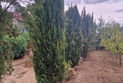 Teren intravilan 700mp - utilități, foișor, solar - 3