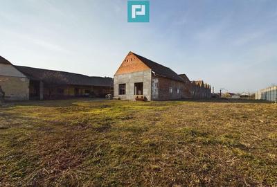 Teren ?i hale pe Calea Aradului din Periam - 2