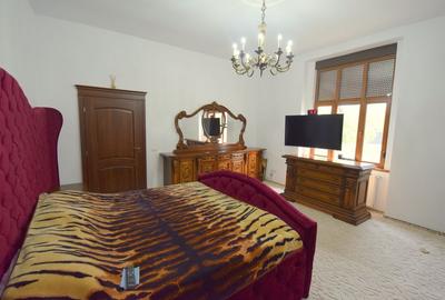 Vila individuala in oras - zona Steaua - 9