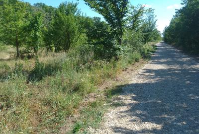 Teren agricol intravilan de 2104 mp, în Periș