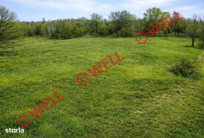 Spațiu comercial, în Filia - 1