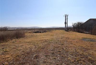 Teren intravilan 9359 mp  |  hala 786 mp | Apahida | zona Libertatii - 8