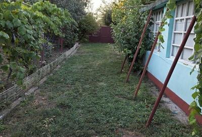 Casă individuală cu 3 camere cu Canalizare în Orțișoara - 13