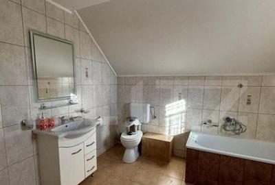 Casa cu destinatii multiple, 8900 mp teren, Vatra Moldovitei - 12