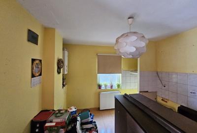 Două case individuale, P+M, construcții 2002/2007, în Giroc, comision 0% - 7