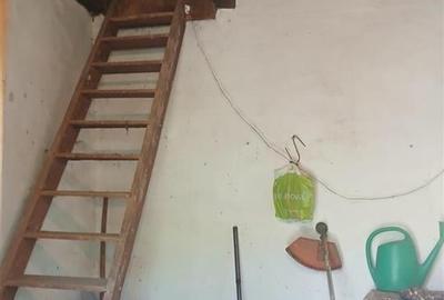 RECO Casa de vanzare in Fegernic cu 2541mp teren - 11