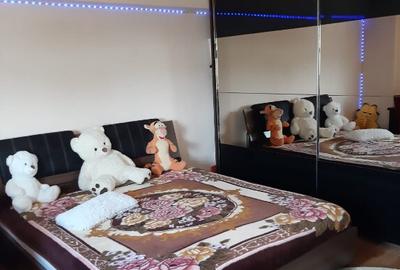 Garsoniera Calea Calarasilor/Viziru - 2