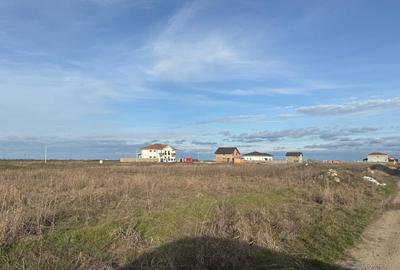 Teren Construcții intravilan de 648 mp, în Săcălaz - 2