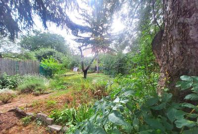 Casa cu gradina superba o oaza verde in Sibiu