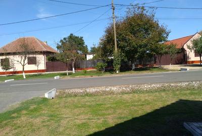 Casă în Berecuța - 10