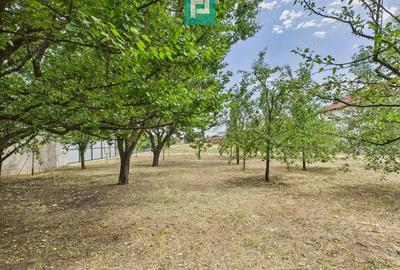 Casa, Com.Irato?u. Jud.Arad - 6