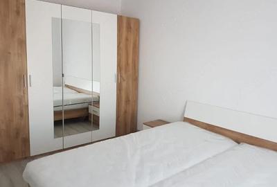 Apartament cu 2 camere decomandat în Dumbrăvița - 2