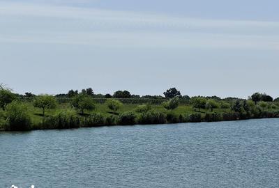 Teren de 63700 mp, în Borș - 13