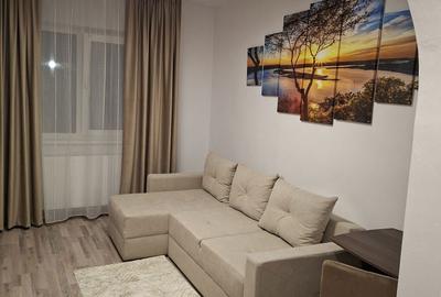 Garsonieră semidecomandată în Noua - 12