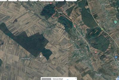 Teren extgravilan agricol Uliesti, ID: R2263433 - 1