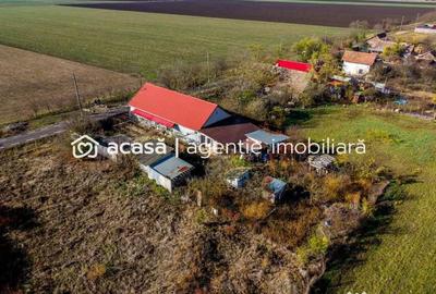 Casă cu 4 camere cu Canalizare în Variașu Mare - 4