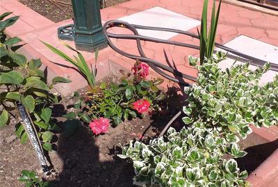 Casă în Eforie - 4