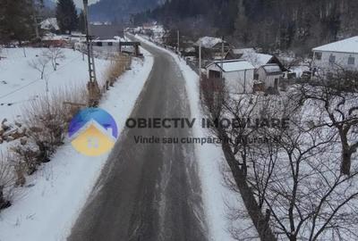 Teren de 2283 mp, în Tarcău - 12