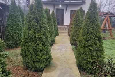 Casă cu 5 camere în Scorțaru Vechi - 10