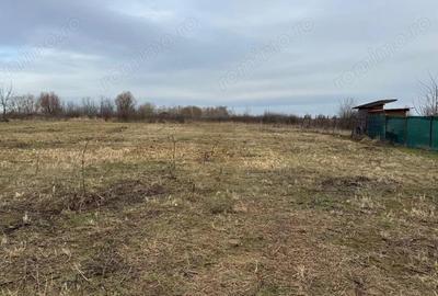 COMISION 0 | Teren intravilan | 687 mp | Giroc - 5