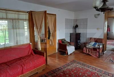 Casă cu 5 camere cu Teren 3000 Mp în Tureni - 4