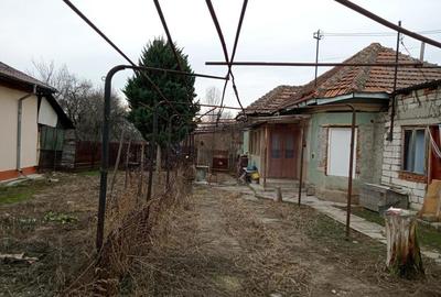 Casă cu 3 camere cu Teren 3000 Mp în Barza - 3