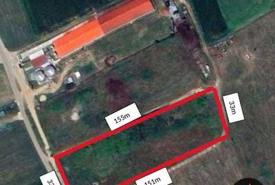 Spațiu comercial, în Bănești - 7