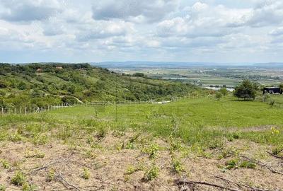 Teren 9461 mp cu panorama in Cartierul Podgoria din Oradea - 2