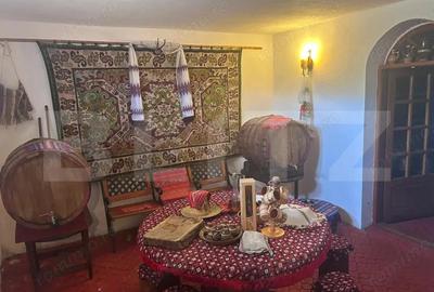 Casa cu incalzire in pardoseala si 17.000 mp teren, sat Oboga - 19