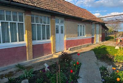 Casă cu 2 camere în Porumbac - 5