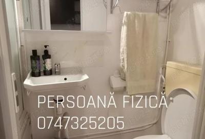 Persoana Fizica: Camera camin baie proprie Carrefour Felicia 250 - 4