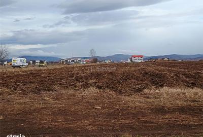 Teren de 9000 mp, în Est - 4