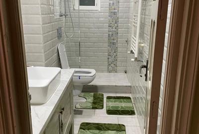 Apartament cu 2 camere decomandat în Centru Civic - 8