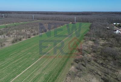 Teren Construcții intravilan de 2000 mp, în Săbăreni - 3