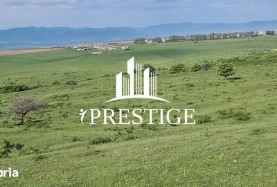Teren de 2000 mp, în Trei Stejari - 4