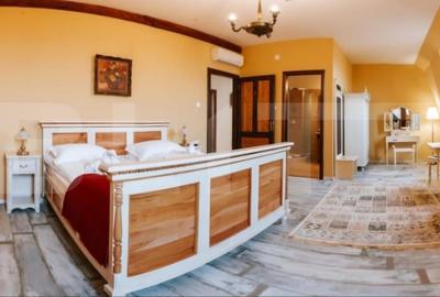 Conac de vanzare 7 camere cu bai proprii, crama, ciubar si potential - 10