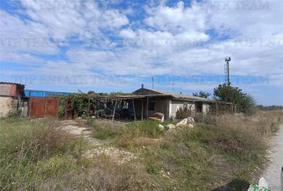 TEREN 5000,MIDIA PORT - 2