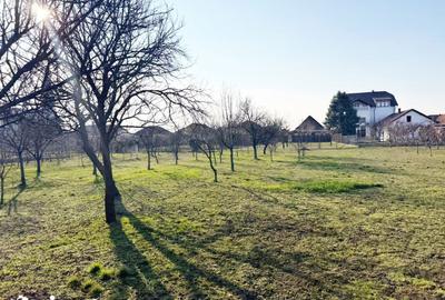 Casă cu 4 camere cu Teren 1669 Mp în Livada - 8