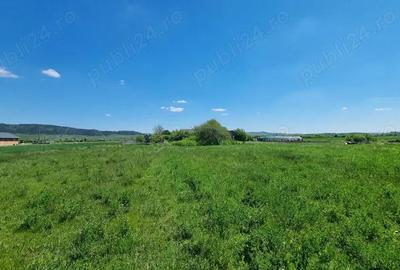 De vanzare casa in Bon?ida cu teren generos - 11