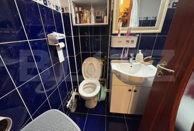 Apartament cu 3 camere decomandat, mobilat în Tătărași - 10