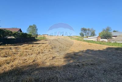 Teren Construcții intravilan de 7500 mp, în Moara Carp - 2