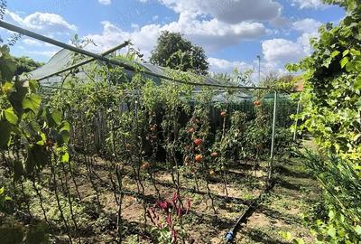 Vand casa in Ciorani! - 8