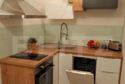 Cladire de patrimoniu din secolului XIX, de vanzare, zona - 12