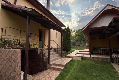 CASA D+P+M/ CALEA MARE 1438 MP TEREN/ 3 CAMERE/ TERASA /UTILATA MOBILATA - 2